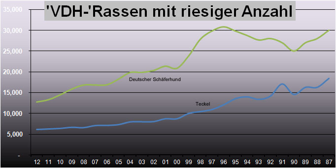 VDH-Rassen mit riesiger Anzahl Welpen pro Jahr